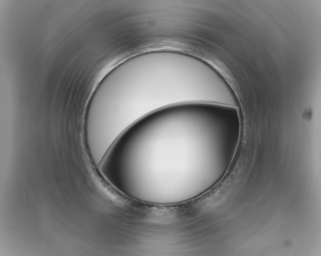 X0000091180850200708091044