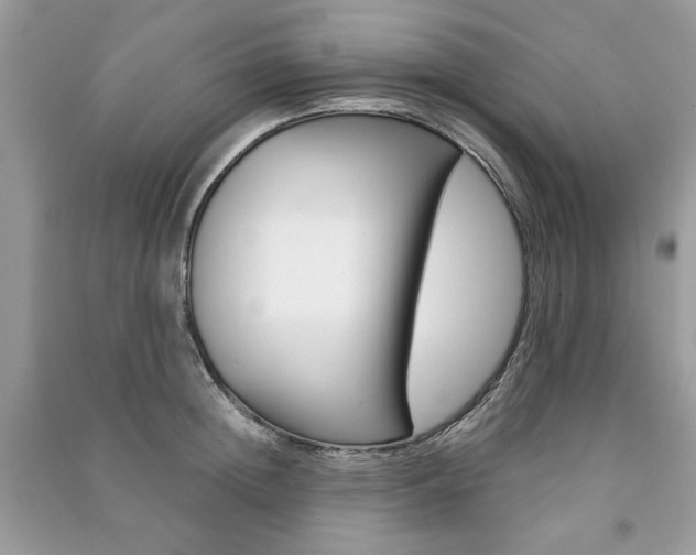 X0000091180852200708091044