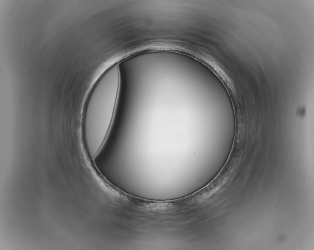 X0000091180853200708091045