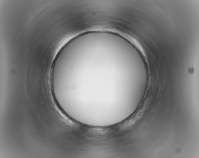 X0000091180855200708091045