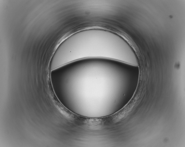 X0000091180858200708091045