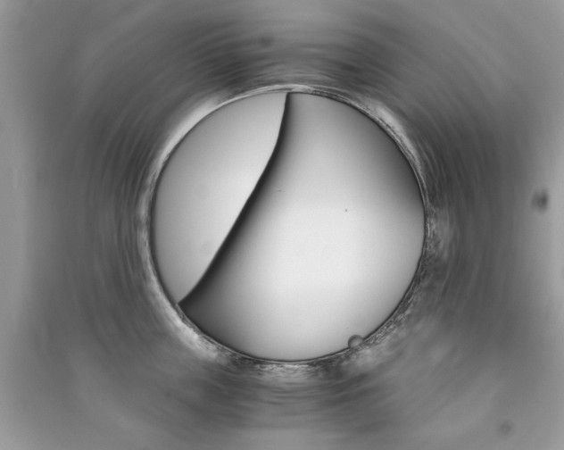 X0000091180859200708091045