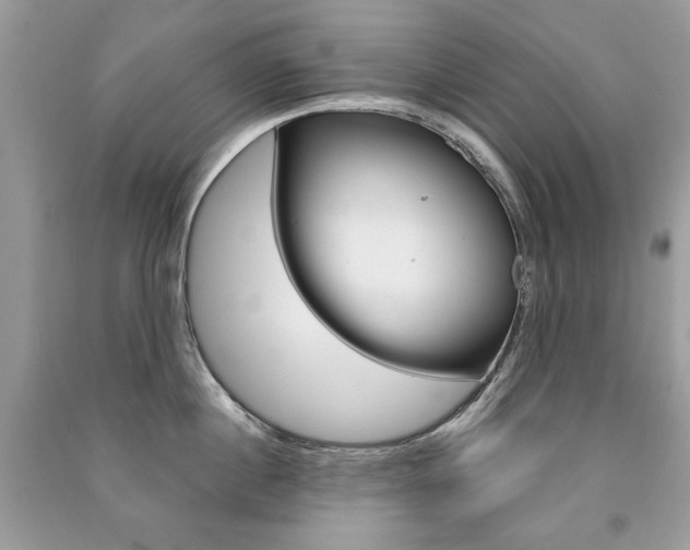 X0000091180860200708091045