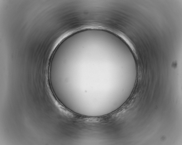 X0000091180861200708091045