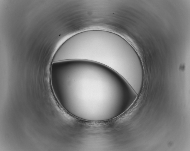X0000091180862200708091045