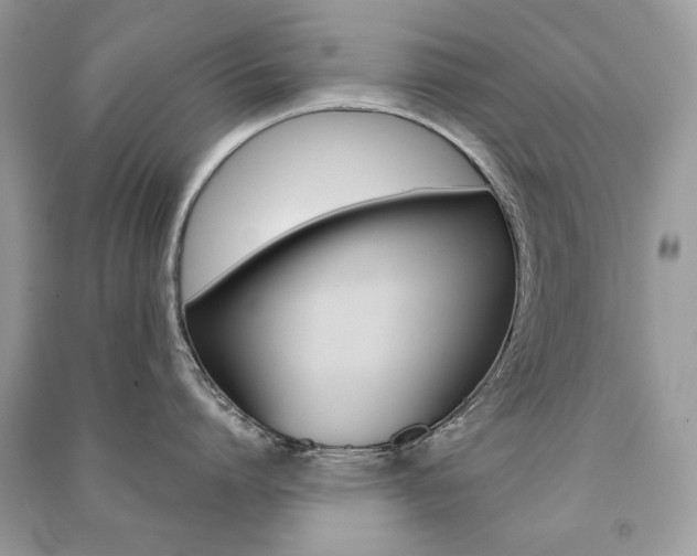 X0000091180864200708091045