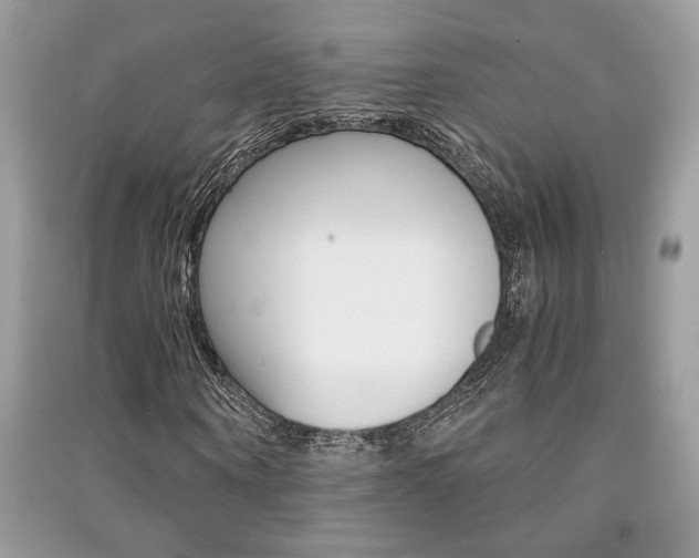 X0000091180866200708091044