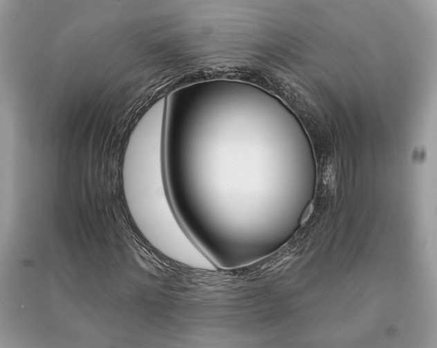 X0000091180868200708091044