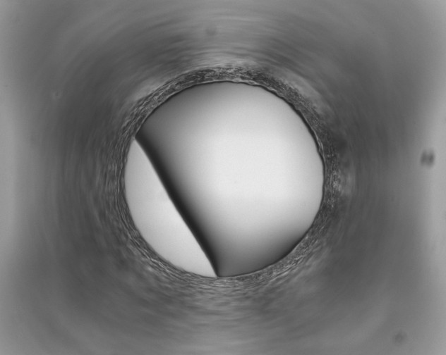 X0000091180869200708091044