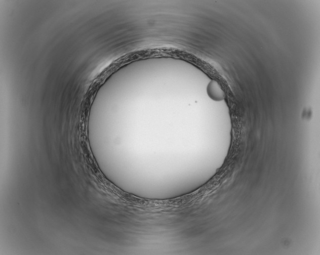 X0000091180871200708091044