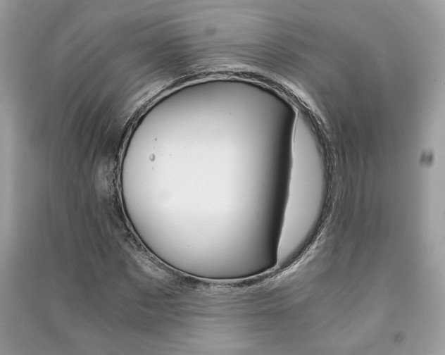 X0000091180873200708091044