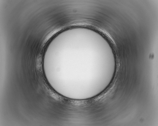 X0000091180874200708091044
