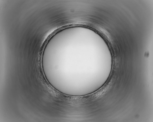 X0000091180875200708091044