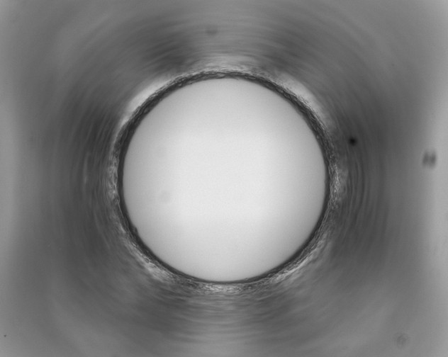 X0000091180878200708091044