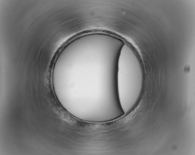 X0000091180879200708091044