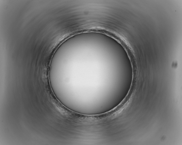 X0000091180881200708091044