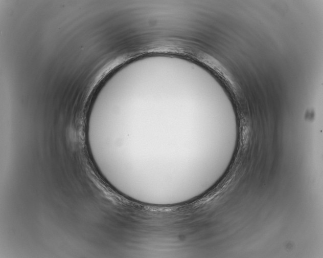 X0000091180882200708091044
