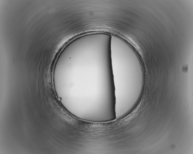 X0000091180883200708091044