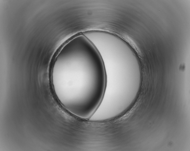 X0000091180884200708091044