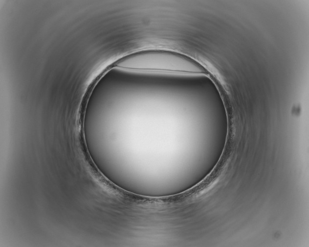 X0000091180885200708091044