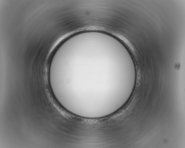 X0000091180886200708091044