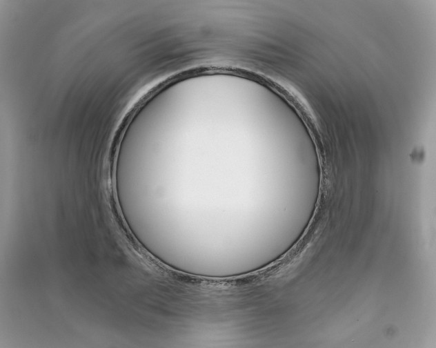 X0000091180887200708091044