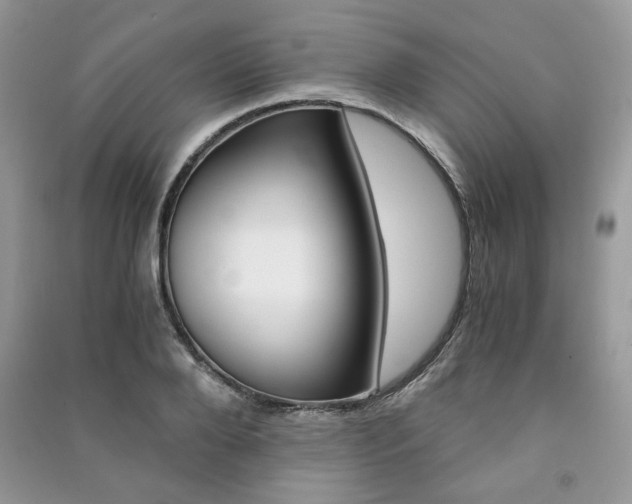 X0000091180888200708091044