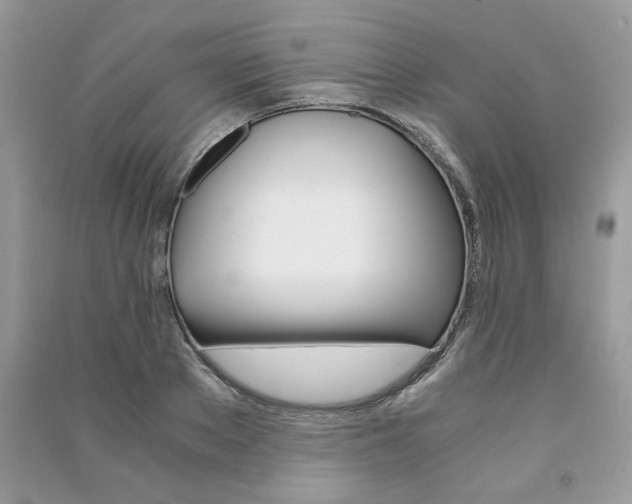 X0000091180889200708091044