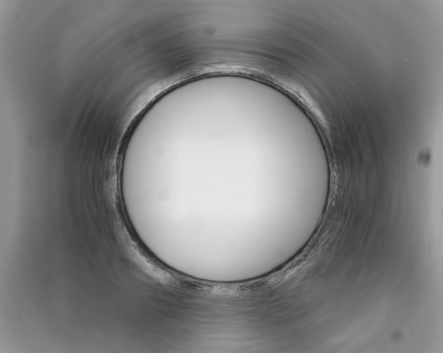 X0000091180890200708091044
