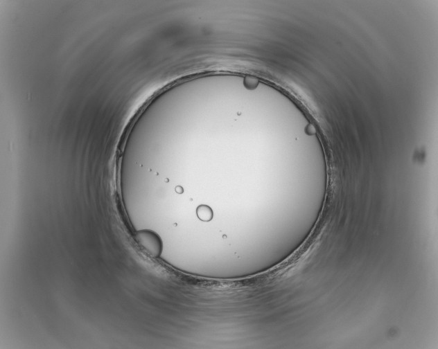 X0000091180891200708091044