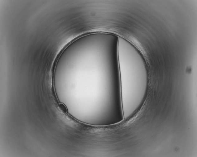 X0000091180892200708091044