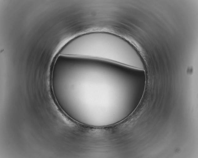 X0000091180894200708091044