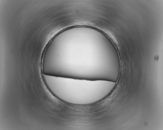 X0000091180895200708091043