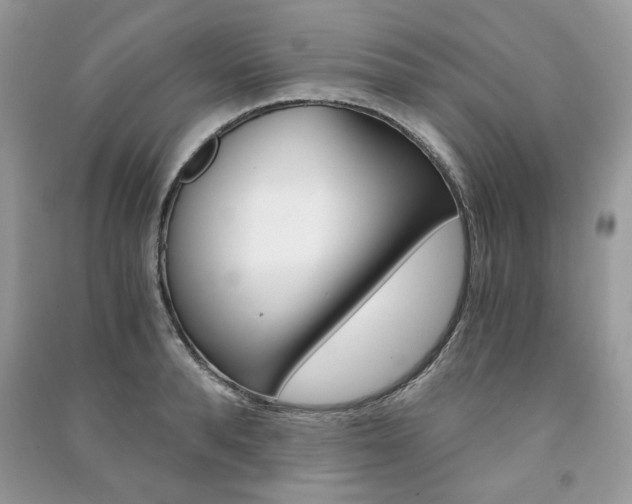 X0000091180896200708091043