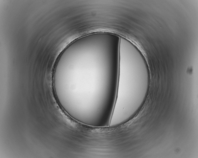 X0000091180898200708091043