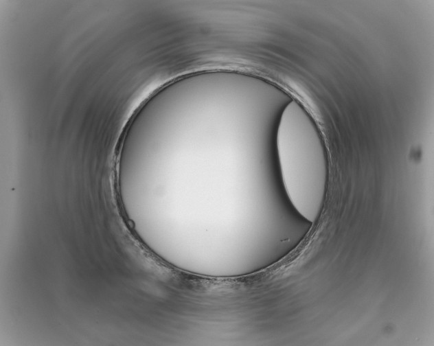 X0000091180899200708091043