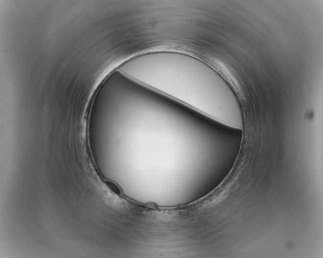 X0000091180900200708091043