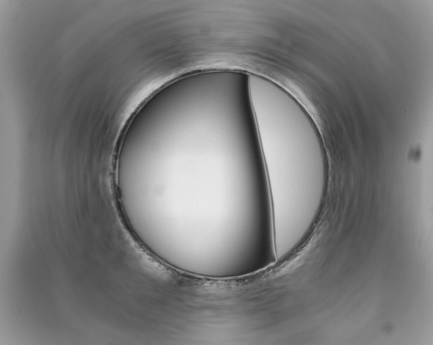 X0000091180901200708091043