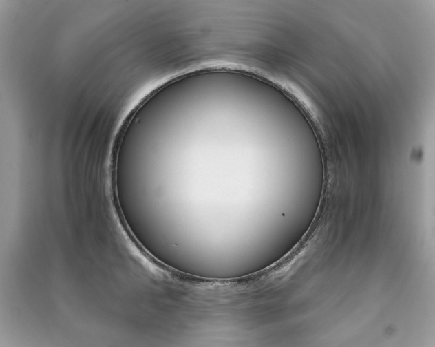 X0000091180902200708091043