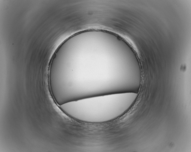 X0000091180903200708091043