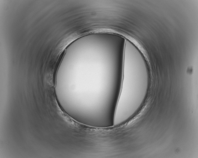 X0000091180905200708091043