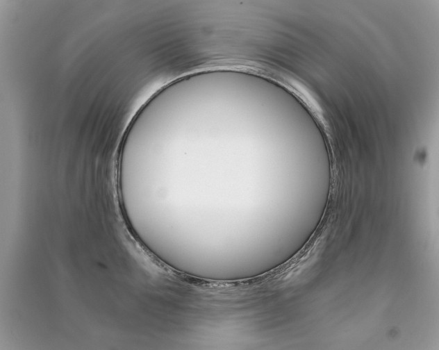 X0000091180907200708091043