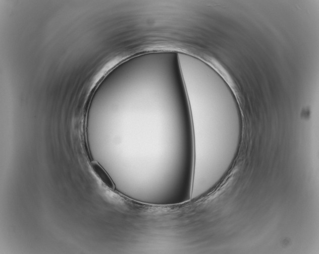 X0000091180909200708091043