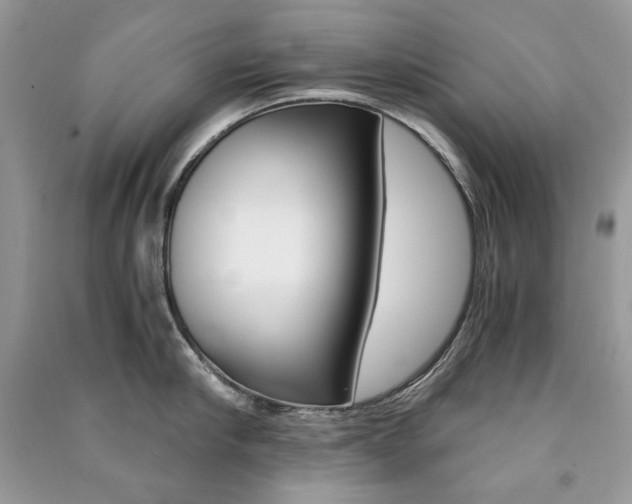 X0000091180910200708091043