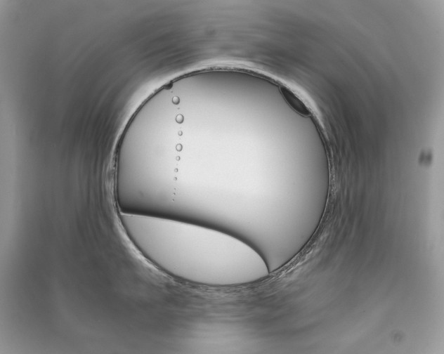 X0000091180911200708091043