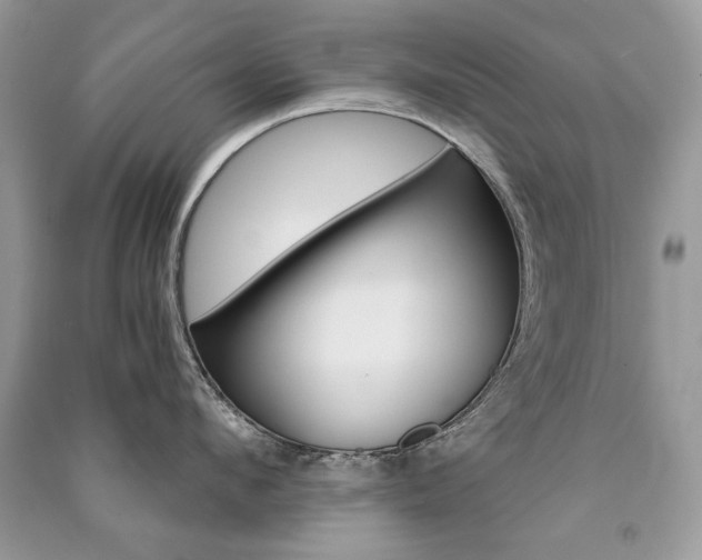 X0000091180912200708091043