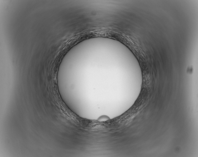 X0000091180913200708091043
