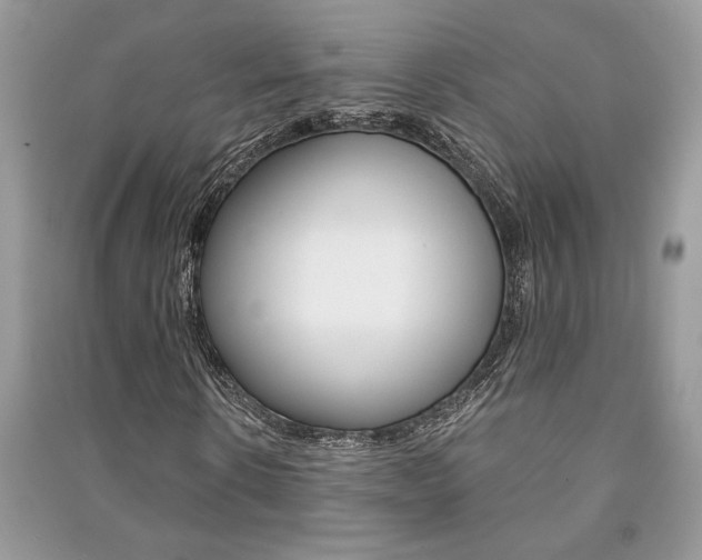 X0000091180914200708091043