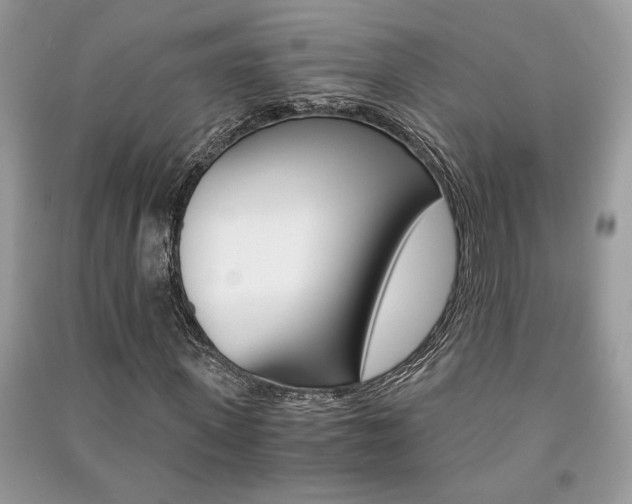 X0000091180915200708091043