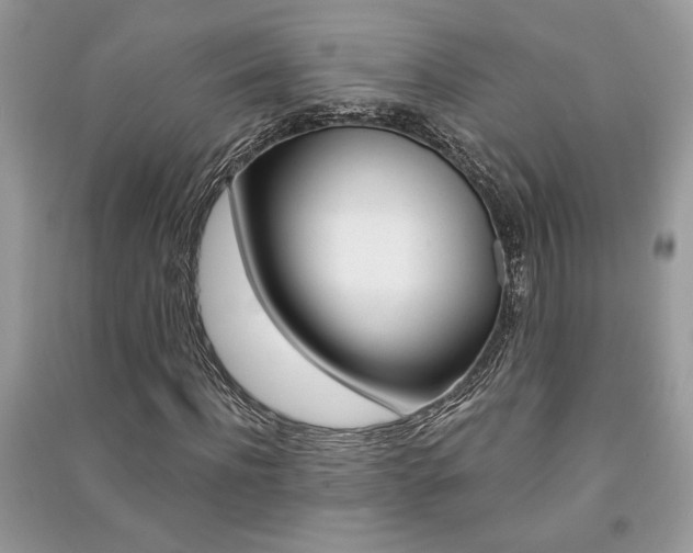X0000091180916200708091043